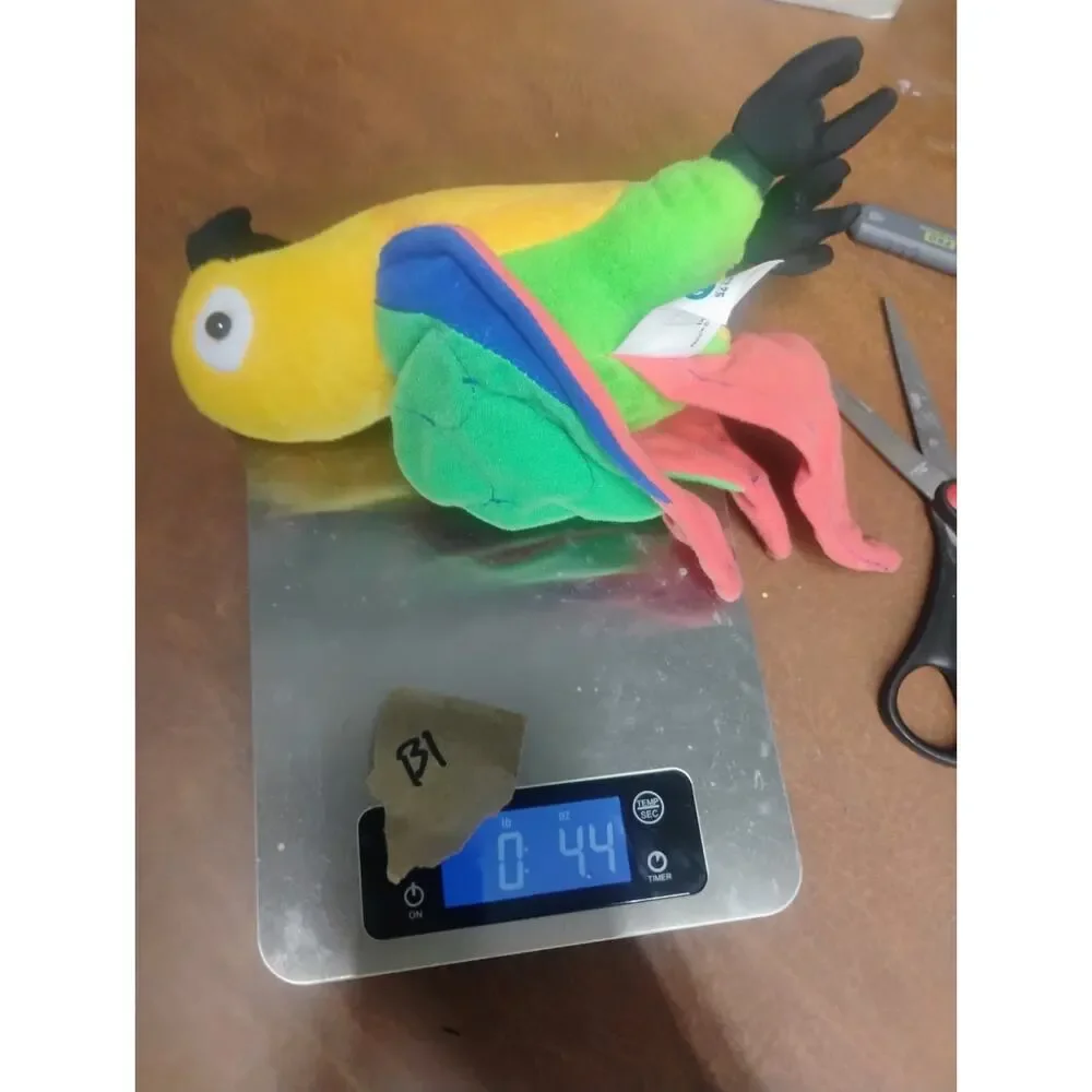 Vintage 1998 Dreamworks Paulie Best Friend Lupe Plush Equity Toys Parrot 8